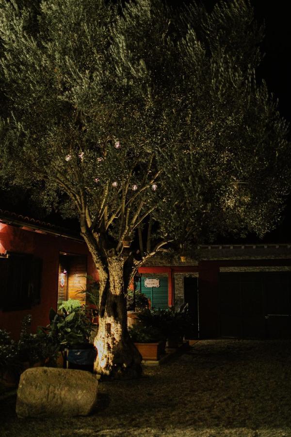 El Jardin De Gala Villa Castejon de Monegros Bagian luar foto