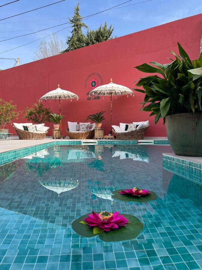 El Jardin De Gala Villa Castejon de Monegros Bagian luar foto